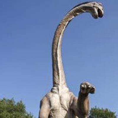 Parco Dinosauri le Pietre del Drago -  foto 2