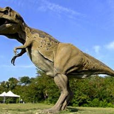 Parco Dinosauri le Pietre del Drago -  foto 4