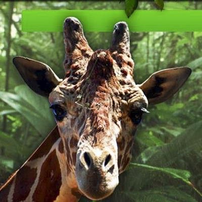 Safari Park d´Abruzzo -  foto 1