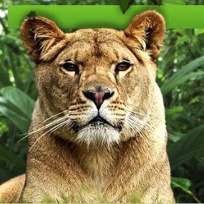 Safari Park d´Abruzzo -  foto 2