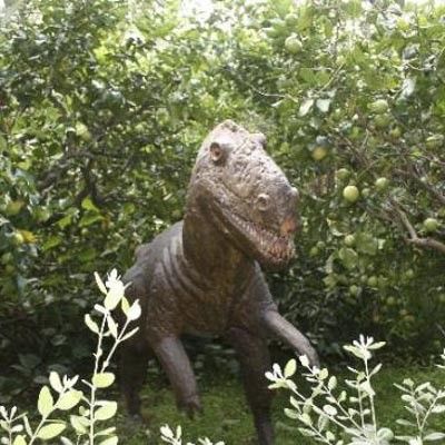 Bioparco di Sicilia -  foto 1