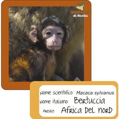 Bioparco di Sicilia -  foto 2