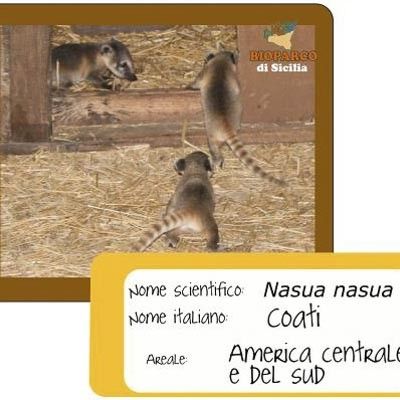 Bioparco di Sicilia -  foto 3