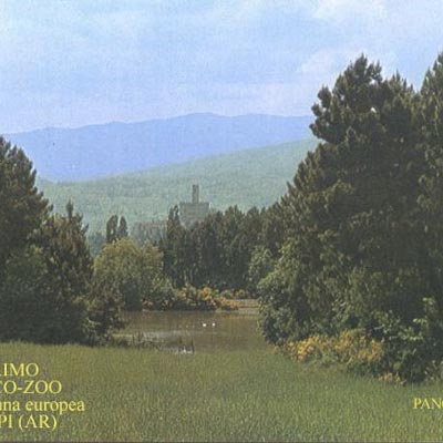 Zoo di Poppi -  foto 1