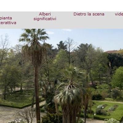 Museo di Storia Naturale Firenze -  foto 1