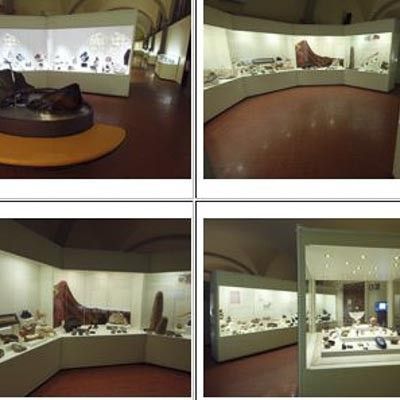 Museo di Storia Naturale Firenze -  foto 2