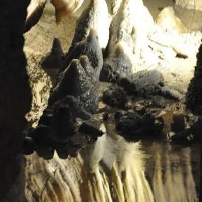 Grotta Antro del Corchia -  foto 4