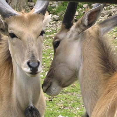 Citt della Domenica -  foto 2