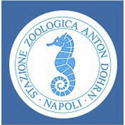 Stazione Zoologica Anton Dohrn  -  foto 1