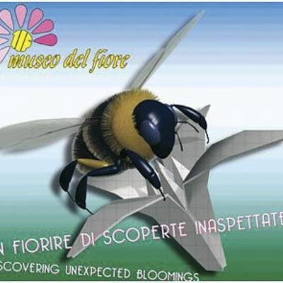 Museo del Fiore -  foto 1
