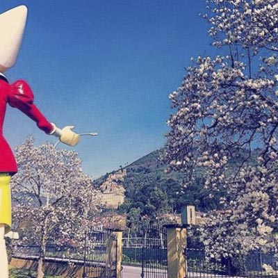 Parco di Pinocchio -  foto 2