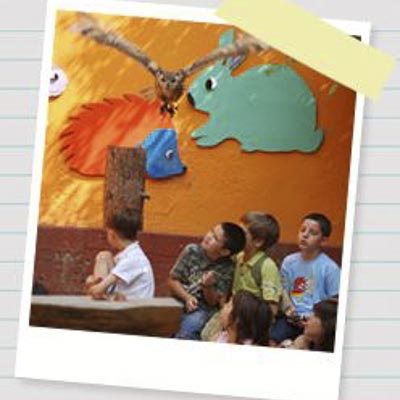 Zoo di Pistoia -  foto 2