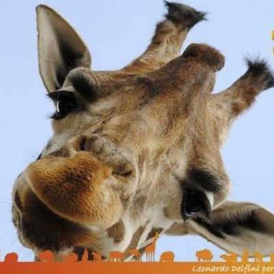 Parco Natura Viva -  foto 3