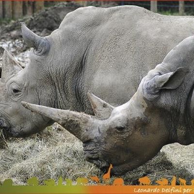 Parco Natura Viva -  foto 5