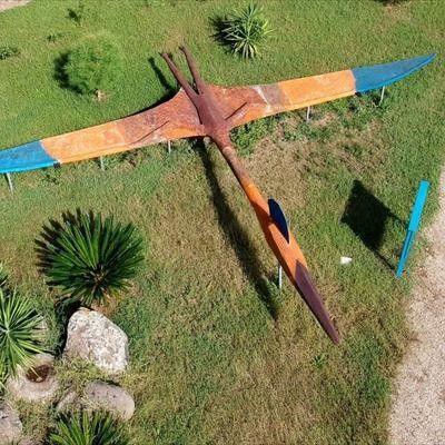 Dinosardo Parco Paleontologico -  foto 5