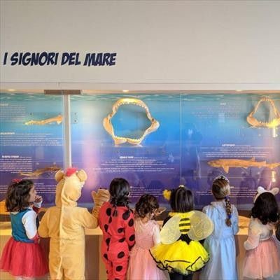 Museo del Mare  -  foto 5