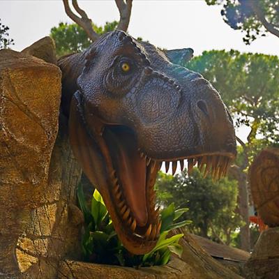 Cavallino Matto -  foto 8