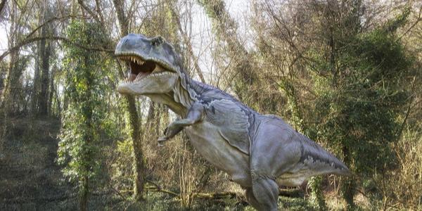 Dinosauri in Carne e Ossa