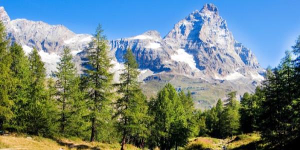 Tales of the Woods in the Aosta Valley