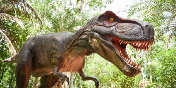 Mostra di Dinosauri al Centro Sicilia
