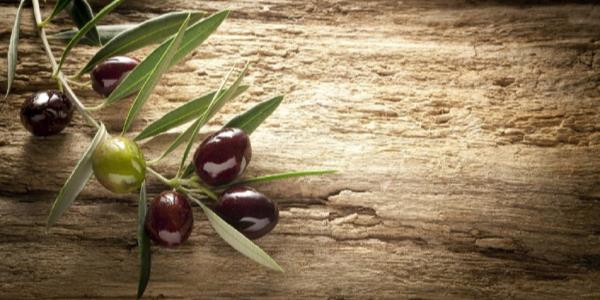 Frantoi Aperti in Umbria: Un Viaggio nel Cuore dell'Olio Extra Vergine