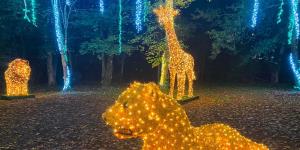 Natale ad Ariccia