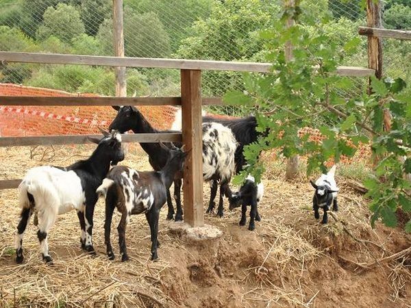 Agriturismo l´Introvabile  - foto 10202.jpg