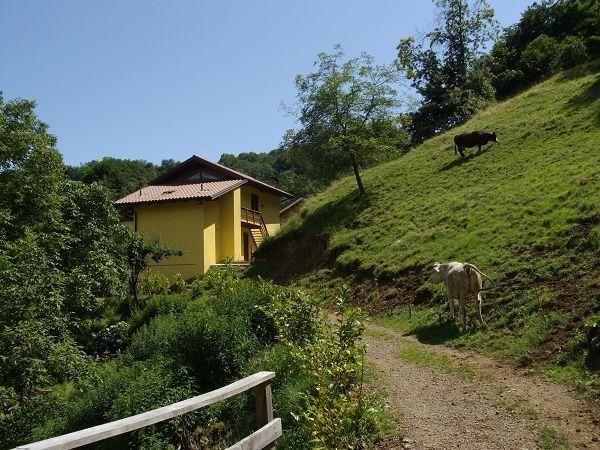 Agriturismo Cà Tass - foto 10388.jpg