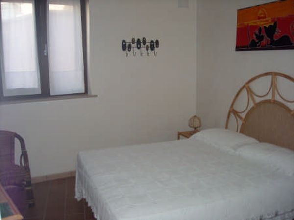 Corbezzoli e callistemon - foto 10402.jpg