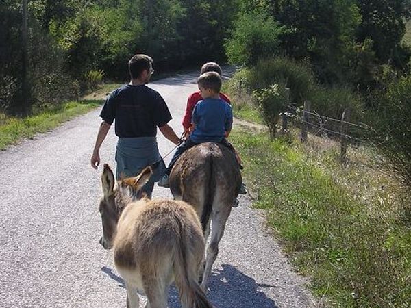 Azienda Agrituristica Il Sarale - foto 10420.jpg