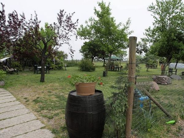 Agriturismo La Pace - foto 10718.jpg