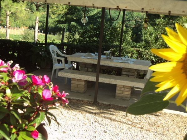 Azienda Agricola Polveraia - foto 10766.jpg