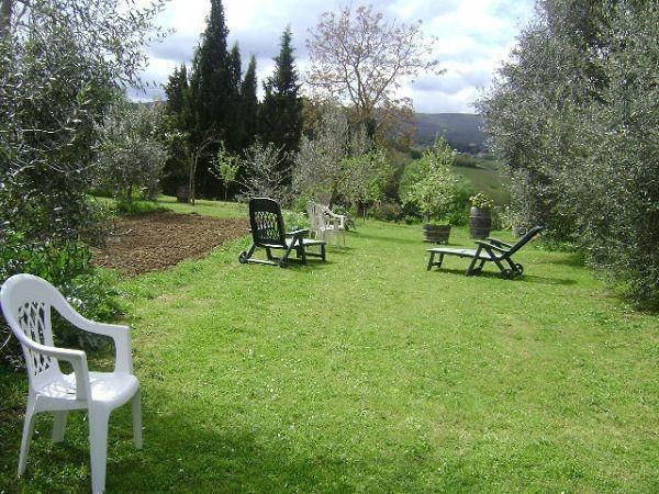 Azienda Agricola Polveraia - foto 10769.jpg