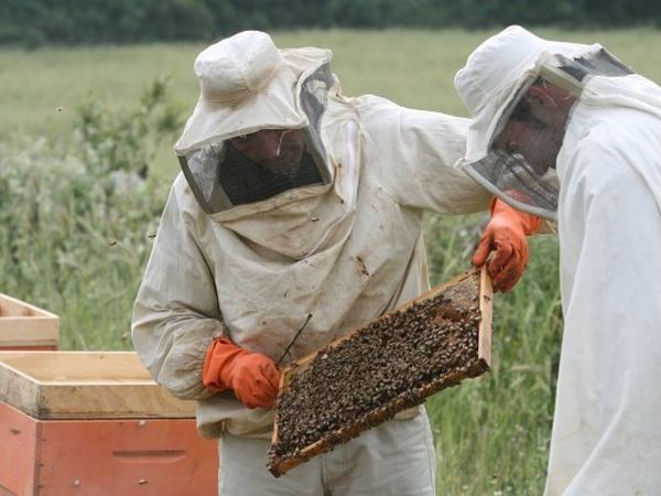 Agriturismo Amicizia - foto 10897.jpg