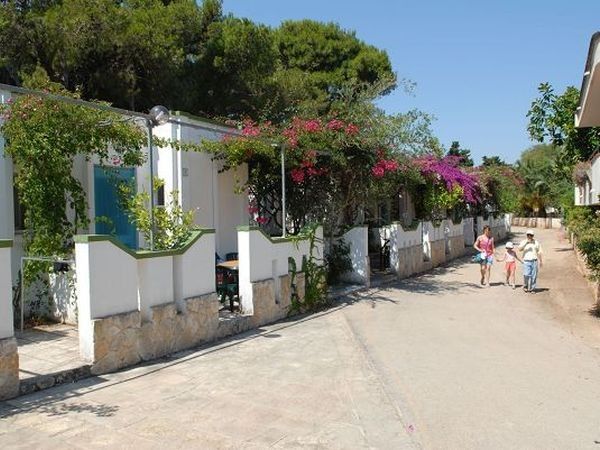 Villaggio Camping Pineta al Mare - foto 10957.jpg