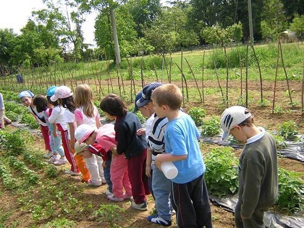 Fattoria del Cerretino  - foto 11295.jpg