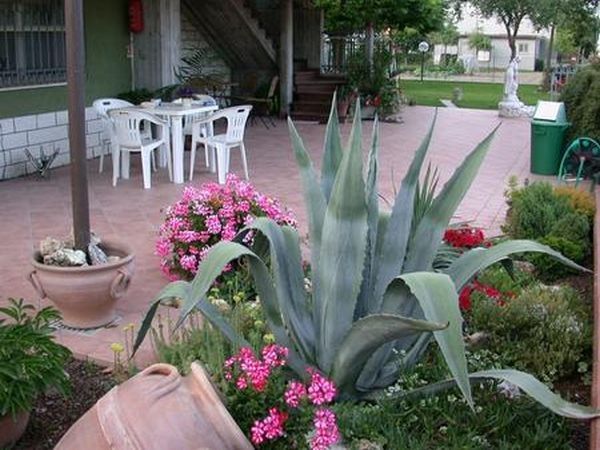 B&B Il Boschetto - foto 11311.jpg