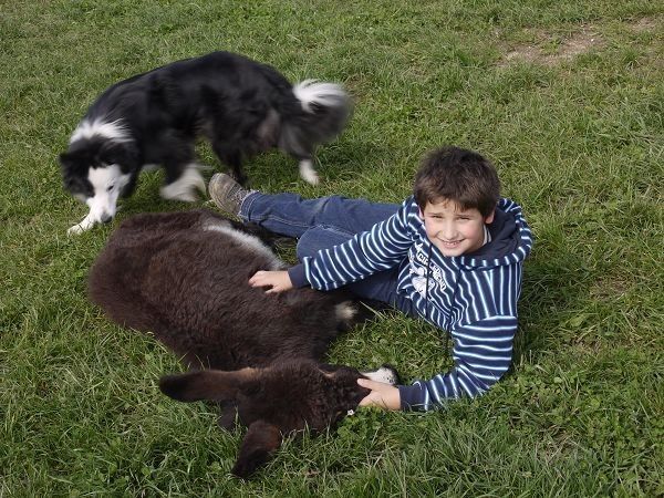 Sporting Hotel San Felice - foto 11428.jpg