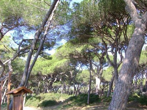 Elle Immobiliare  - foto 11478.jpg