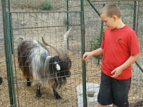 Agriturismo Sant´Andrea - foto 11863.jpg