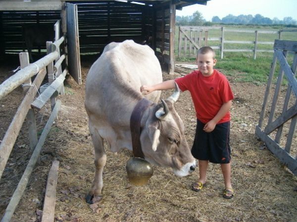 Agriturismo Sant´Andrea - foto 11864.jpg