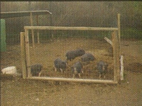 Agriturismo Sant´Andrea - foto 11865.jpg