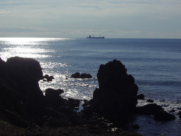 Casa Anna Livorno - foto 11929.jpg