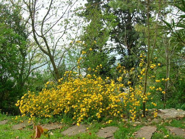Ca del Vento Appartamento Turistico B&B - foto 11938.jpg