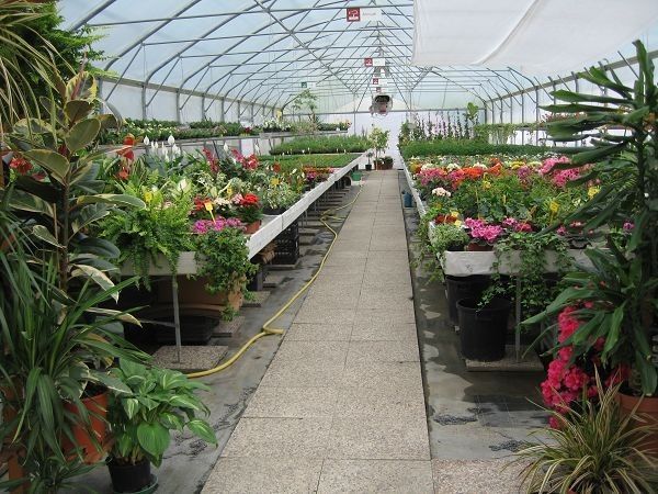 Agriturismo Acero Rosso - foto 11952.jpg