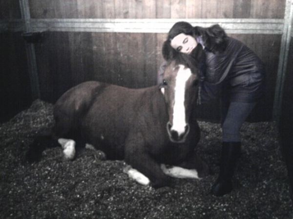 Equinozio B&B e Maneggio  - foto 12166.jpg