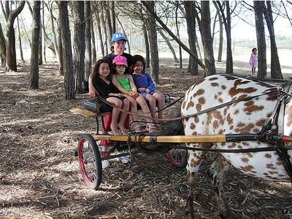 Villaggio Camping Mimosa - foto 12233.jpg