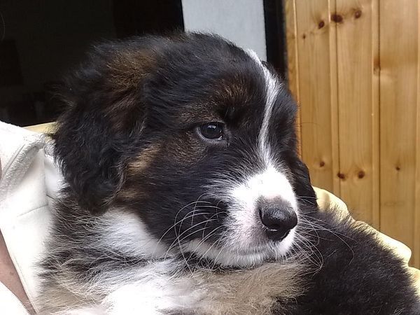 Agriturismo Vadonnino Antico Borgo - foto 5645.jpg