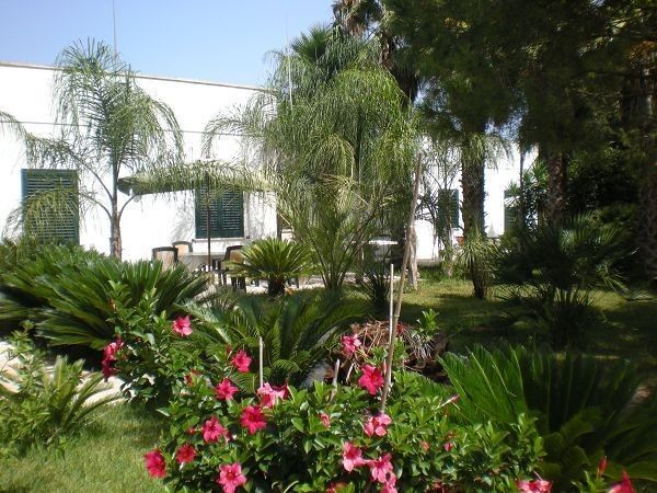 Masseria Lama - foto 12352.jpg