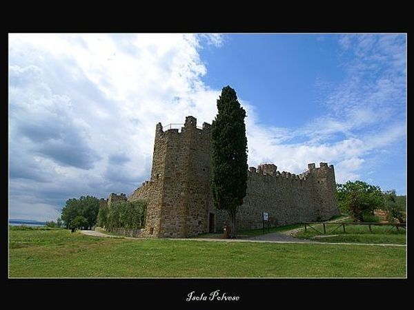 Fattoria il Poggio - foto 12373.jpg